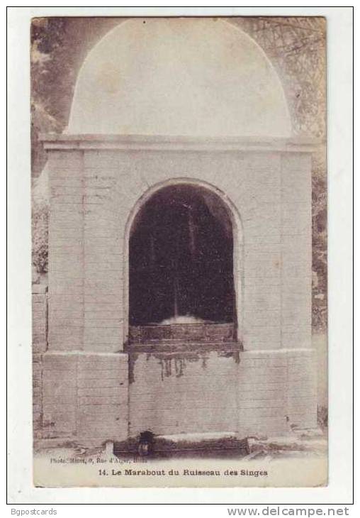 Le Marabout du Ruisseau des Singes