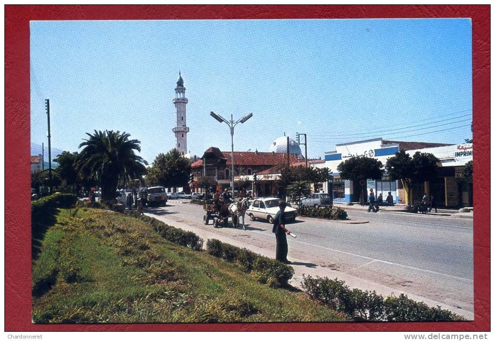 CPSM ALGERIE- BLIDA - Automobile - Animée - ALGERIA AFRIQUE AFRICA Card Carte