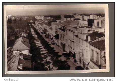 Blida - Boulevard Trumelet  année  50