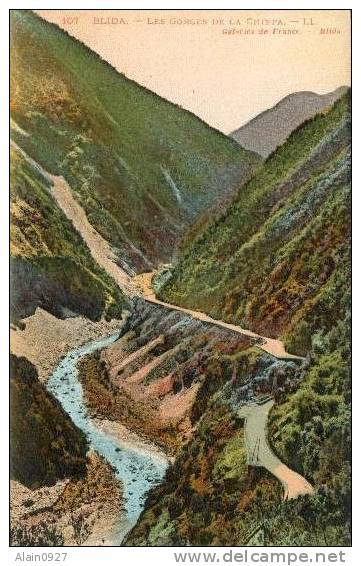 BLIDA.-LES GORGES DE LA CHIFFA