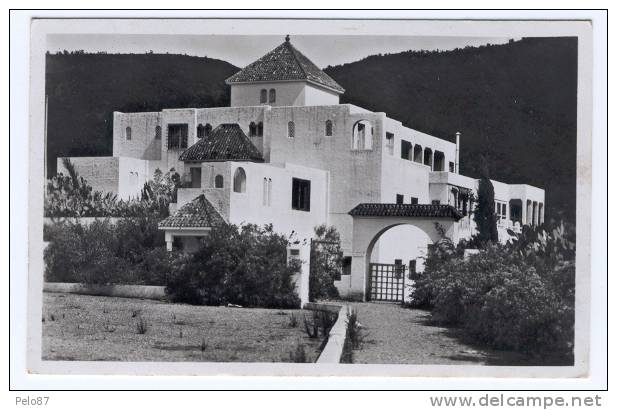 CPSM (format cpa)    Blida L'hotel du Rocher des Singes    B275