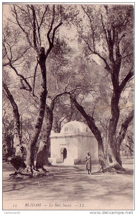 Algérie - Blidah (Blida) - Le Bois Sacré