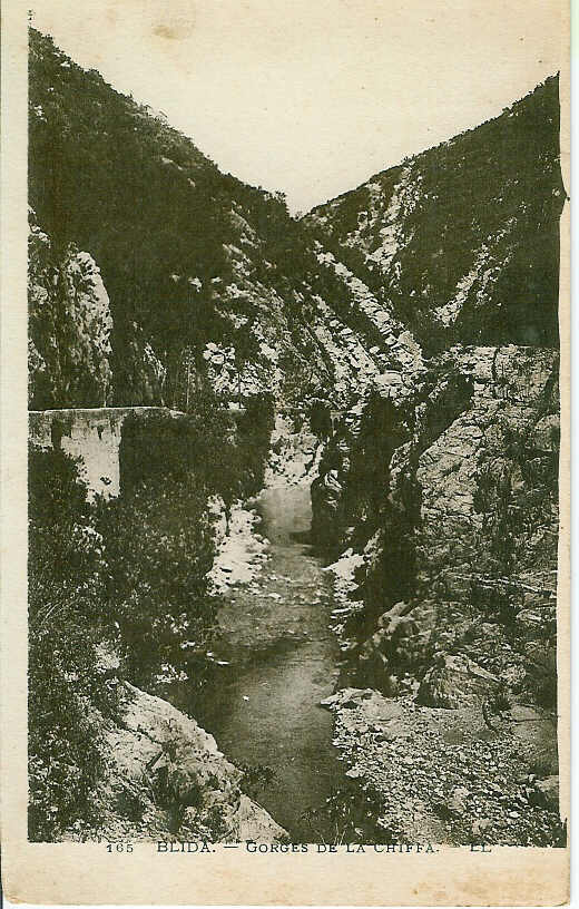 BLIDA    165  gorges de la chiffa carte neuve