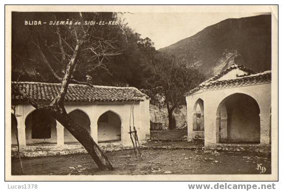 BLIDA / DJEMAA DE SIDI EL KEBIR