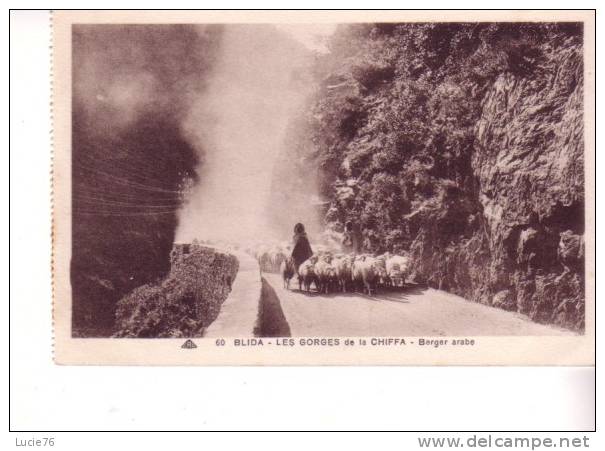 BLIDA - Les Gorges de la Chiffa  -  Berger Arabe -  n° 60