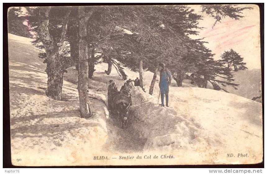 CPA animée  ALGERIE  Blida  Sentier du Col de  Chréa