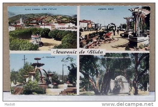 Cpsm Blida Algérie - Souvenir  Place d´Armes vers l´Atlas,Jardins Ricci,La Fontaine, Marabout au bois sacré -