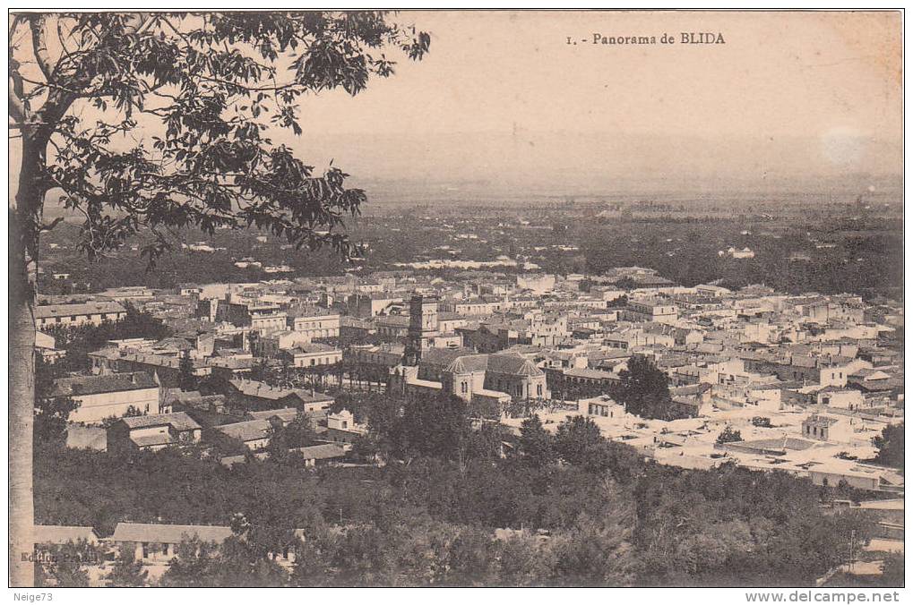 cpa de BLIDA  - panorama