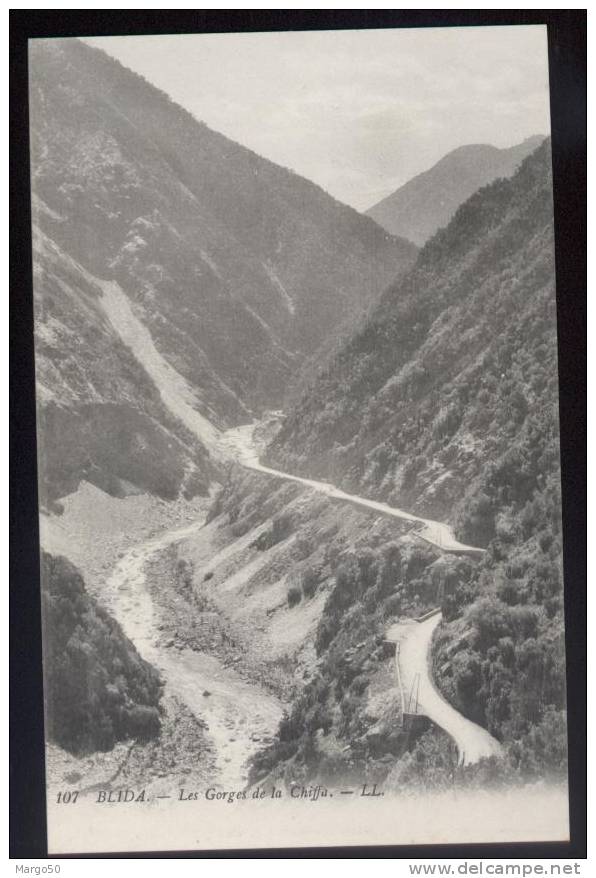 -  BLIDA. -  GORGES DE LA CHIFFA.-     ....(7608)