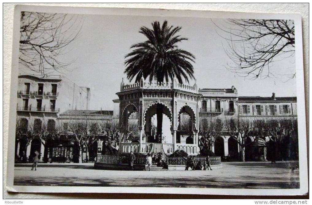 Algérie - CP N° L360 - Blida - CPSM/N