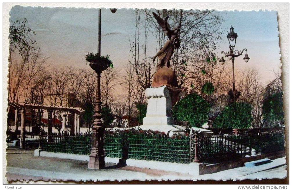 Algérie - CP N° L361 - Blida - CPSM/N