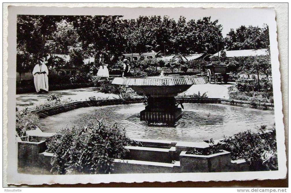 Algérie - CP N° L364 - Blida - CPSM/N