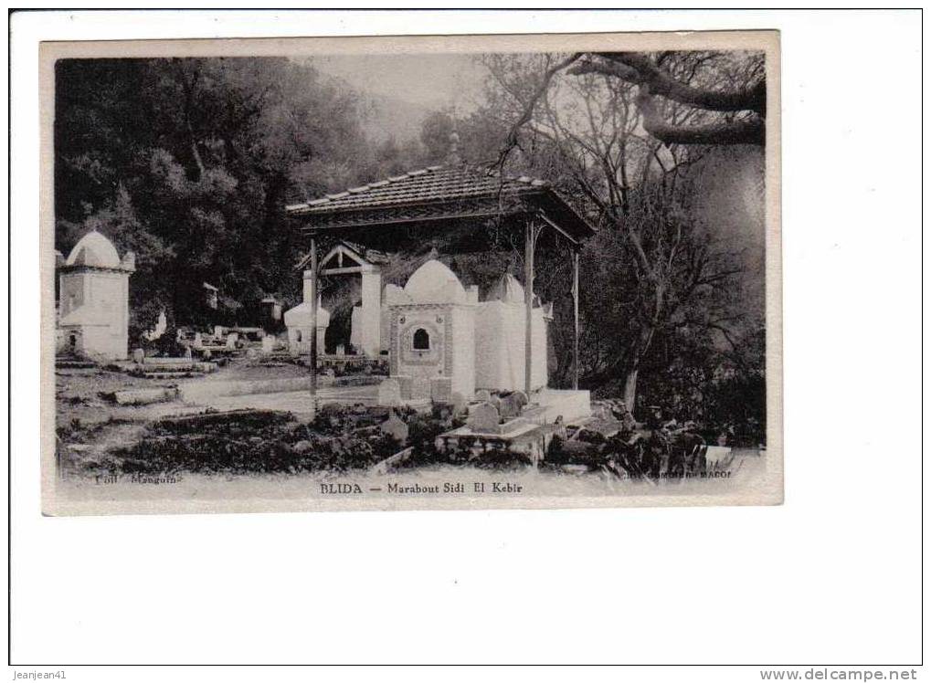 BLIDA   -  Marabout  Sidi  El  Kébir