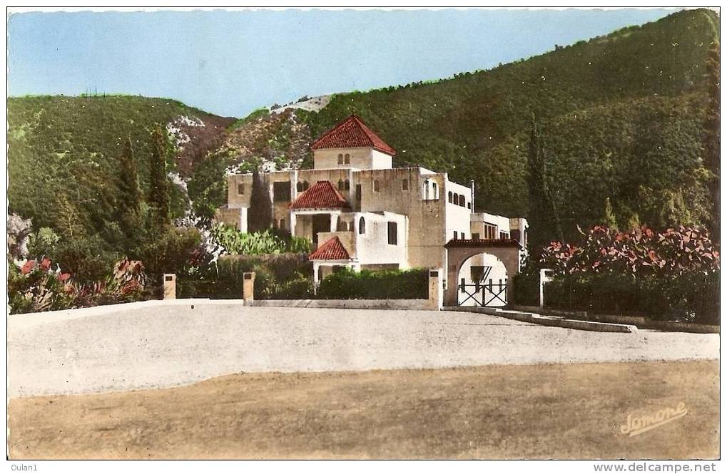 Blida - Gorges de la Chiffa - Le rocher des singes -