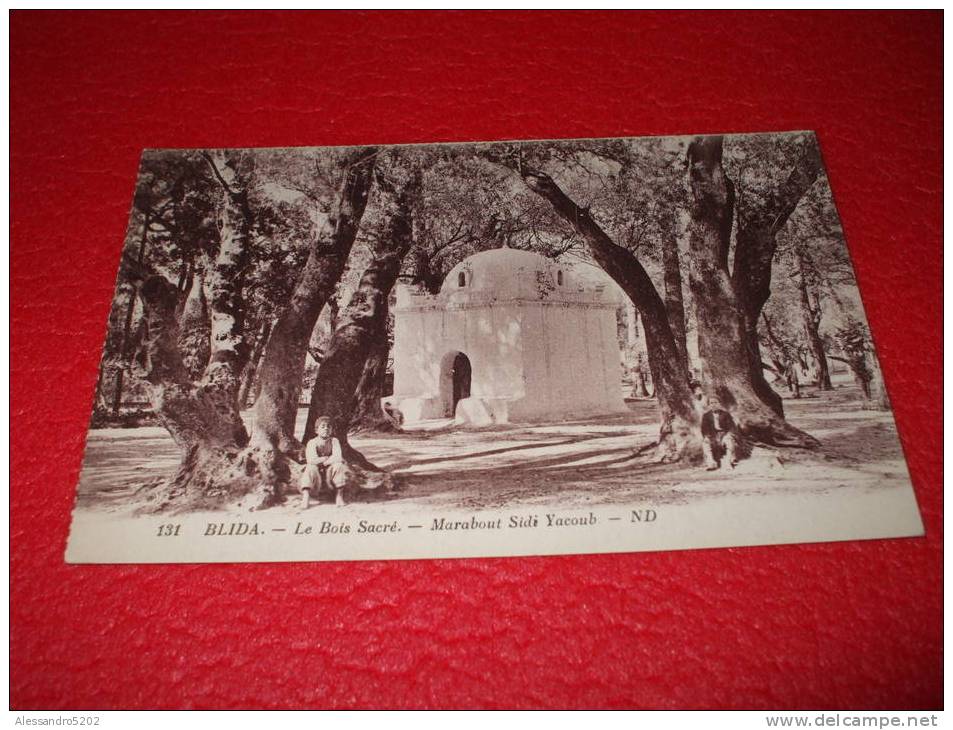 Blida - Le Bois Sacré Marabout Sidi Yacoub