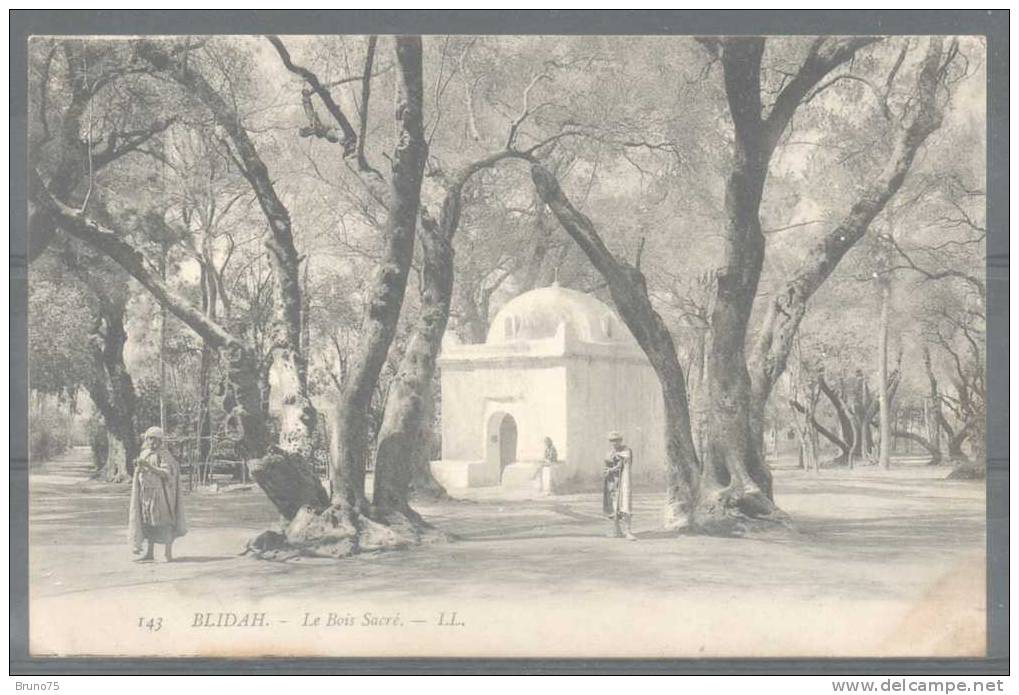 BLIDAH - Le Bois Sacré