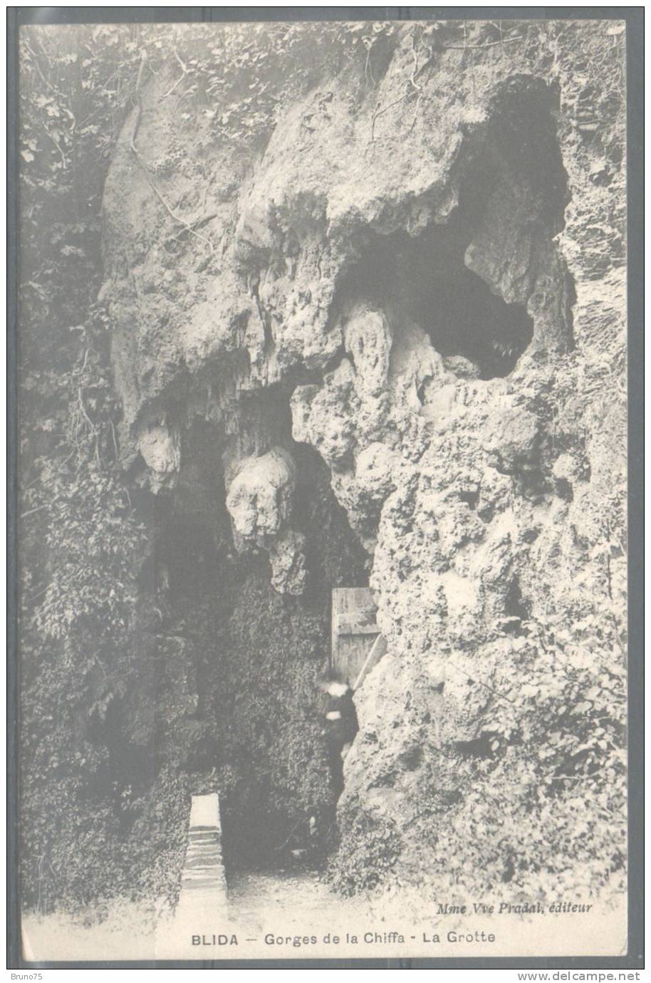 BLIDA - Gorges de la Chiffa - La Grotte