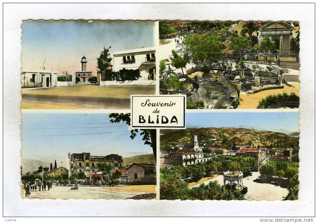 Blida       Souvenir de Blida       Multivues