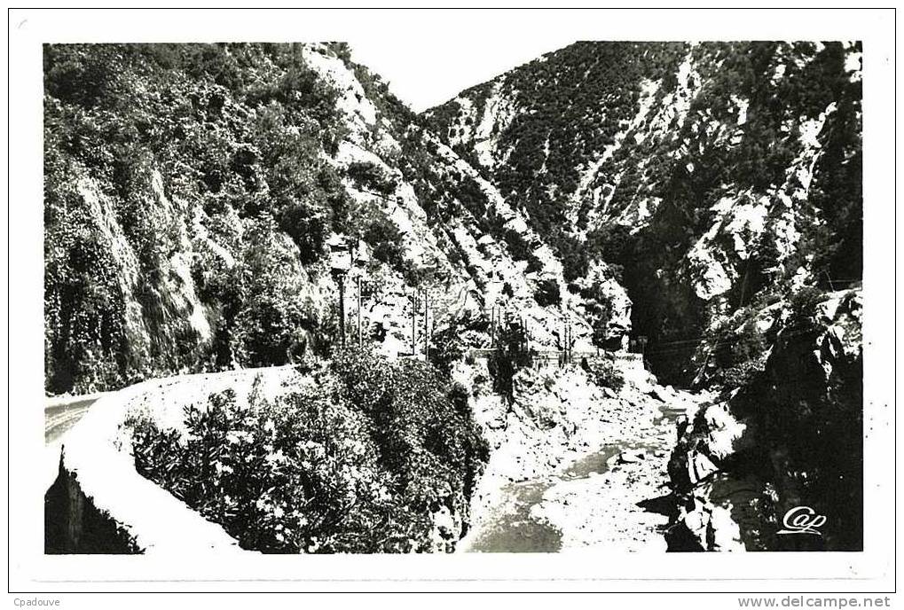 CPSM Blida, Les Gorges de la Chiffa