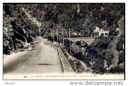 AFRIQUE .ALGERIE. BLIDA.  ROUTE DES GORGES DE LA CHIFFA