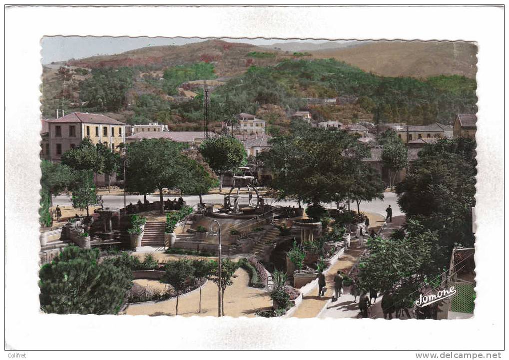 Blida       Jardin Ricci