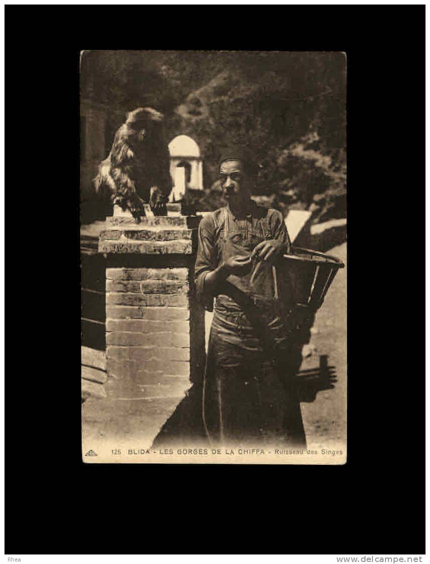 126 BLIDA - Les Gorges de la Chiffa - Ruisseau des singes