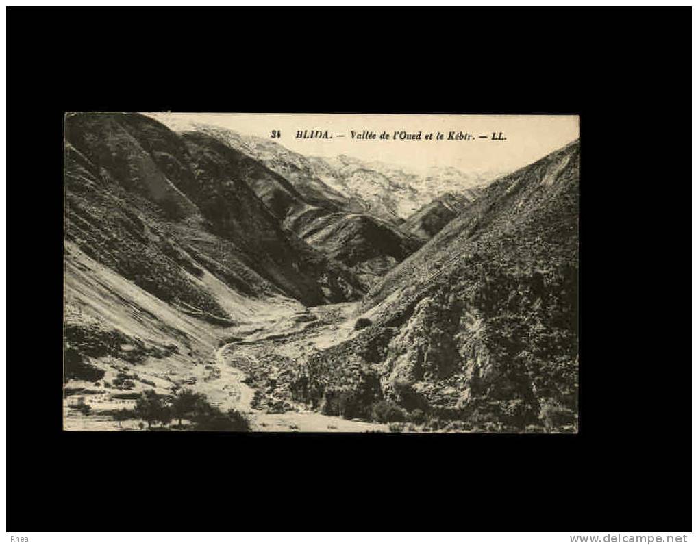 34 BLIDA - Vallée de l'Oued et le Kébir