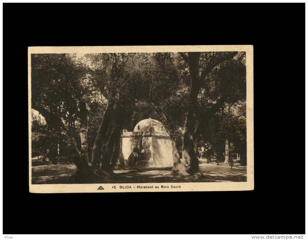 45 BLIDA - Marabout au Bois Sacré