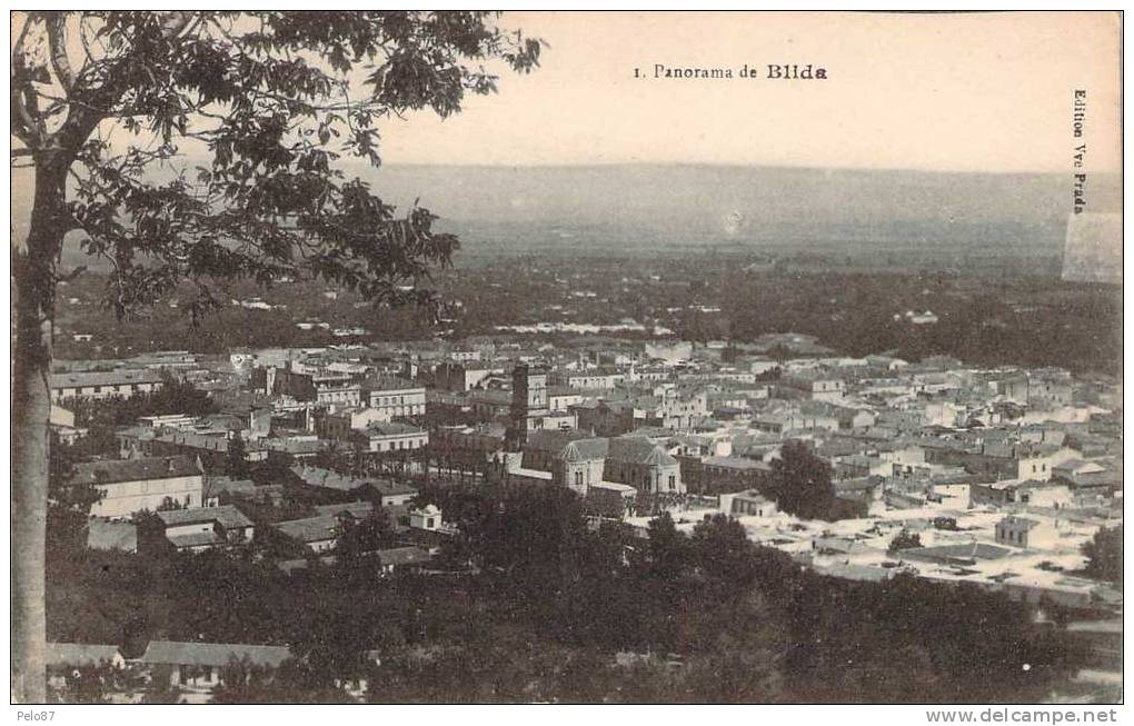 CPA   Panorama de Blida   R1409