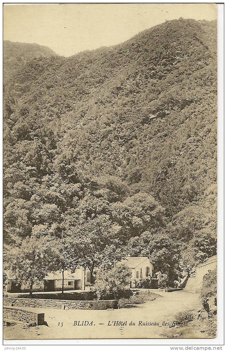 15 - BLIDA - L´HOTEL DU RUISSEAU DES SINGES (  ) ALGERIE