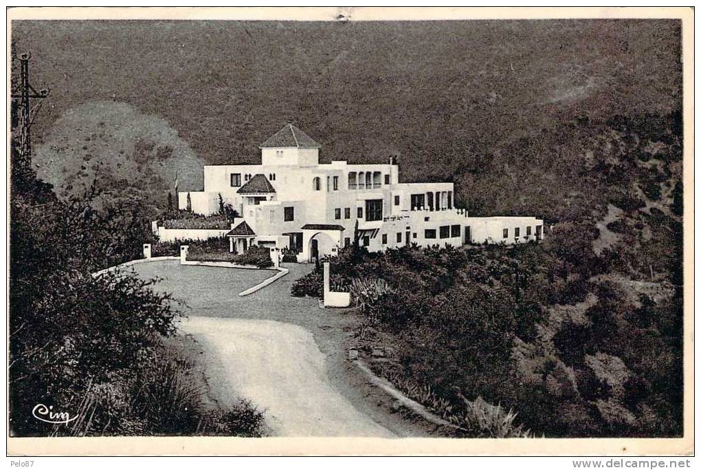 CPSM (format cpa)   Blida Gorges de la Chiffa   CC 871