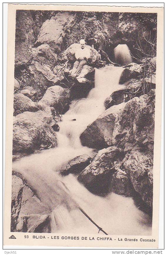 93 - BLIDA - LES GORGES DE LA CHIFFA - La Grande Cascade (Animation)