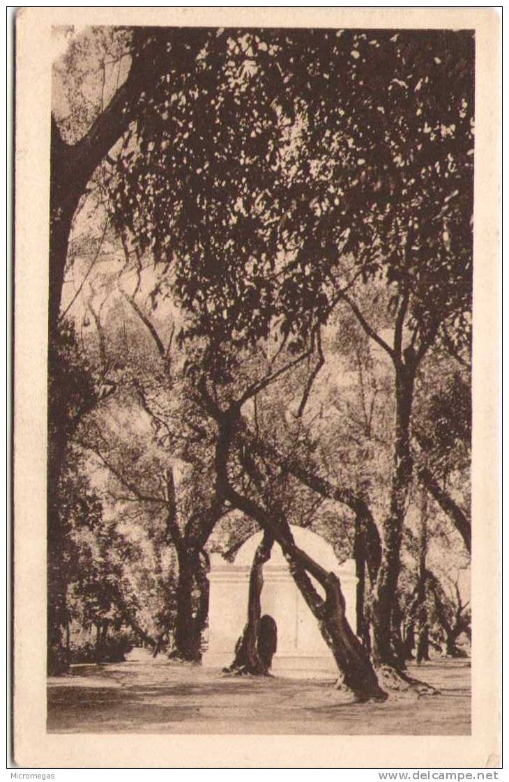 ALGERIE - BLIDA - Le Bois Sacré