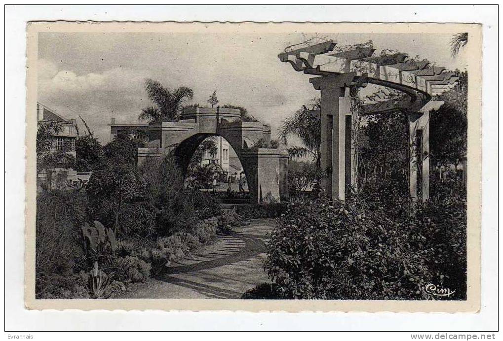 Cpsm BLIDA Joli coin du Jardin public