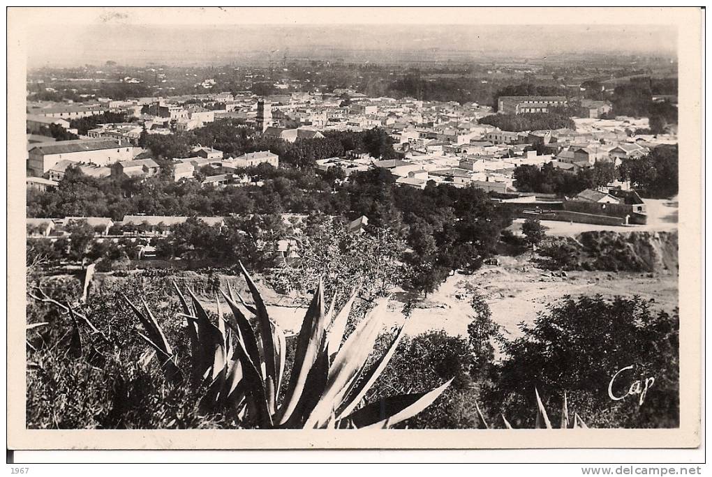 CPSM  -  Algérie  -    BLIDA  -   Vue générale prise du Fort Mimich -