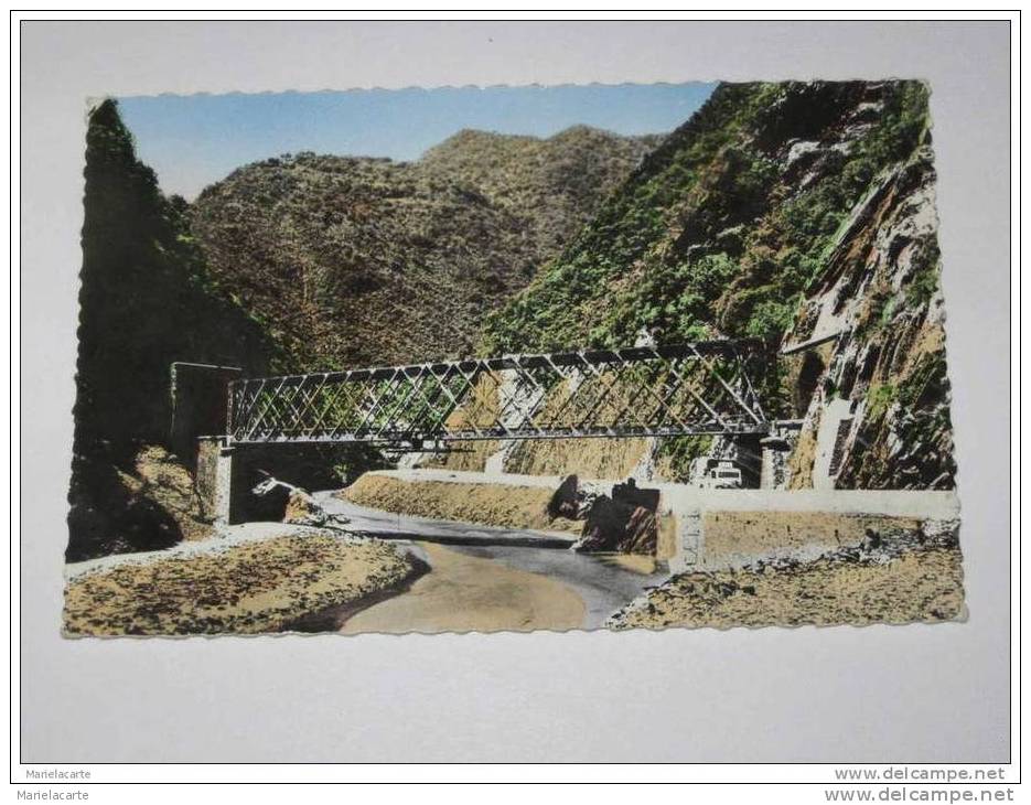 MA53   afrique algérie blida