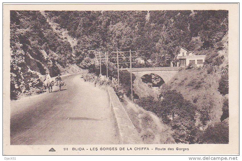 111 - BLIDA - LES GORGES DE LA CHIFFA - Route des Gorges (Animation)