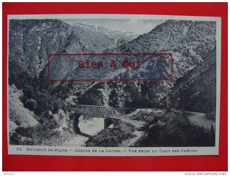 ALGERIE ENVIRONS DE BLIDA GORGES DE LA CHIFFA VUE PRISE DU CAMP DES CHENES   Ref DOM
