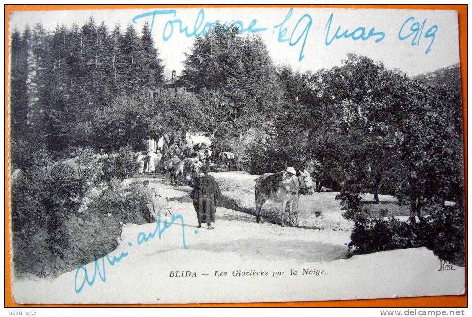 Algérie - CP N° AL839b - Blida Glaciere de Neige - CPA/E
