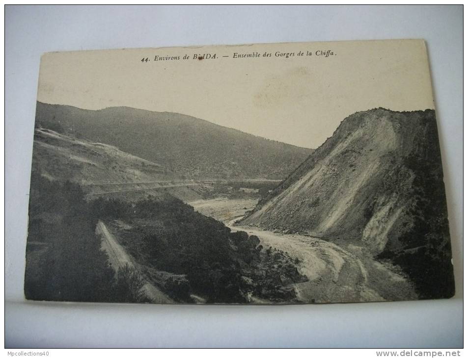 ALGERIE - ENVIRONS DE BLIDA -  ENSEMBLE DES GORGES DE LA CHIFFA (EDITION PHOTOART TOULOUSE N° 44)