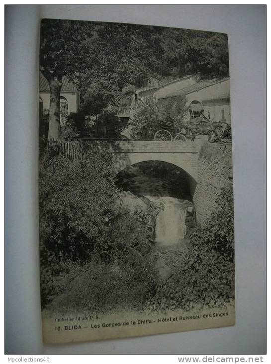 ALGERIE - BLIDA - LES GORGES DE LA CHIFFA - HOTEL ET RUISSEAU DES SINGES (EDITION COLLECTION IDEALE P.S. N° 10)