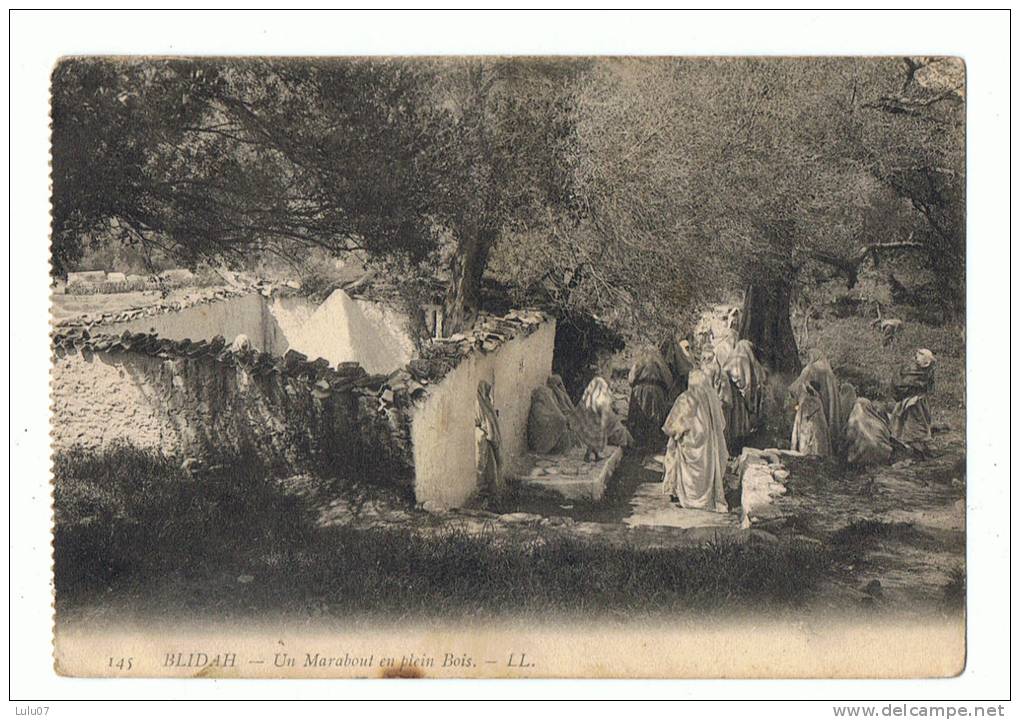 Blidah      le marabout en plein bois