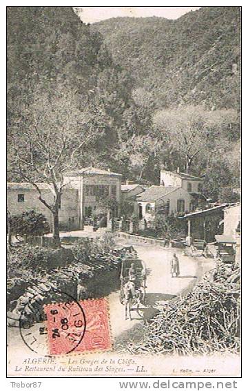 ALGÉRIE - BLIDA - LES GORGES DE LA CHIFFA - Le Restaurant du Ruisseau des Singes