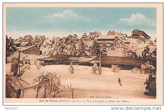 ALGÉRIE - BLIDA - Col de Chréa - Vue d'ensemble et Hôtel des Cèdres