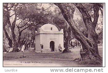 Blida  le bois sacré