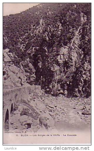 Blida  les gorges de la Chiffa