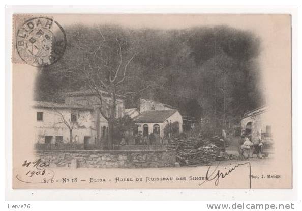 AFRIQUE - ALGERIE - BLIDA - Hôtel du Ruisseau des Singes