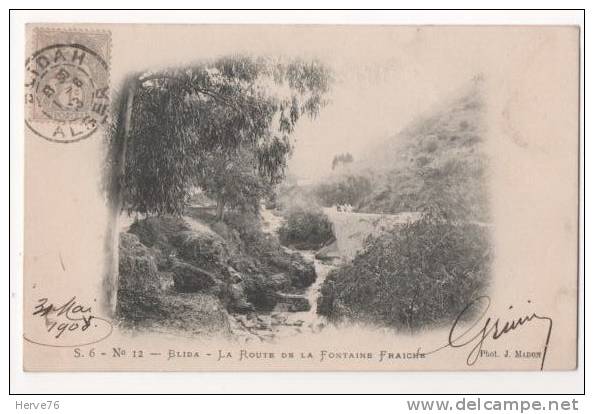 AFRIQUE - ALGERIE - BLIDA - La route de la Fontaine Fraîche