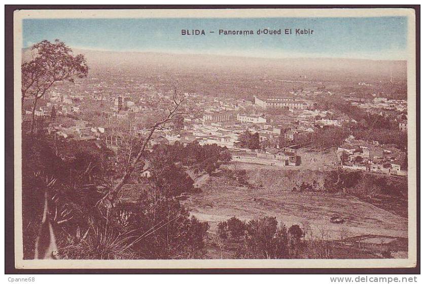 BLIDA - Panorama d'Oued El Kebir