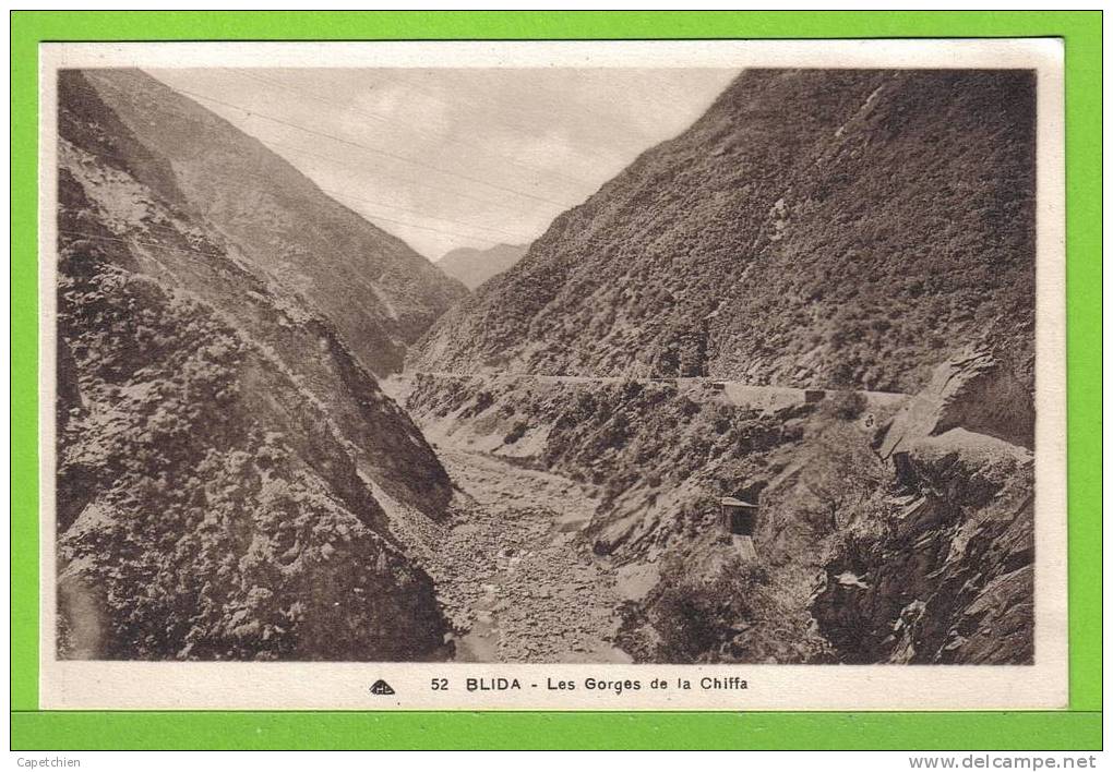 BLIDA - LES GORGES DE LA CHIFFA - - Carte vierge